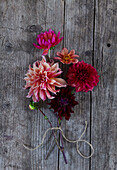 Assorted Dahlias on a wooden bench