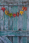 Rustic green door with autumnal bunting made from leaves