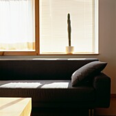Zeitgenössisches Wohnzimmer mit großem grauen Sofa
