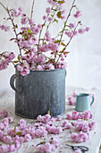 Still life of blossom in zinc bucket