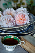 Roses and vintage teacup