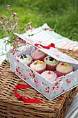 Schachtel mit hübschen, glasierten Cupcakes in einer mit Blumen bedeckten Tortenschachtel auf einem Weidenkorb mit einem Gefäß mit Wildblumen