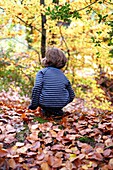 Boy in striped top crouching down in fallen leaves, Autumn, Haslemere, Surrey, England
