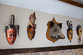 African masks and stuffed boar's head on wall