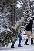 People with Christmas tree in a wintery forest