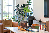 Living room with plants and TV on the wall