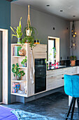 Plants, books and blue bar stool in modern kitchen