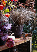 Plants on a weathered table in the garden