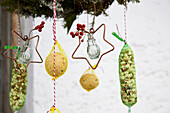 Bird feeder, suet balls and Christmas garden decorations