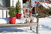 Wooden bench in the snow with mini fir trees, cones in jars and Christmas baubles