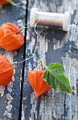 Chinese lanterns tied with silver wire