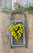 Heart of tansy (Tanacetum vulgare) with grating and rosemary