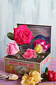 Small glass vases with roses in a vintage box