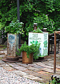 Upcycling old rusty metal canisters into outdoor planters