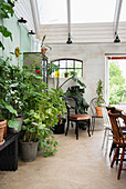 Various potted plants and seating area in a conservatory with glass roof