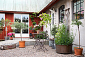Terrasse mit einer Sitzgruppe und verschiedenen Topfpflanzen vor einem Landhaus