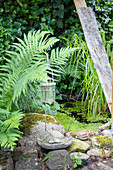 Garden pond surrounded by ostrich fern, moss, ivy, lady's mantle and sedge growing in the water