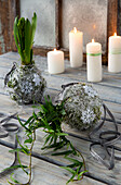 Hyazinthe (Hyacinthus) in gewickelter Kordel auf Holztisch mit Kerzen