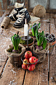 Hyacinths in jute bags with apples and a candle on a wooden table