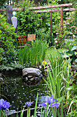Garden pond with wooden bench and blooming iris in the foreground