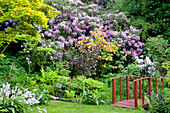 Blühender Garten mit Rhododendron und kleiner rotlackierter Holzbrücke