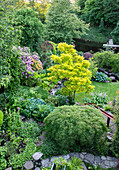 View of diversely planted garden with pond in spring