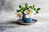Cup with dog rose (Rosa canina) on concrete table