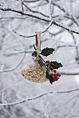 Birdseed with holly branch hanging from tree