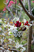 Tulips, magnolia blossoms, and rock pear blossoms in a hanging vase