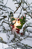 Ice lantern in the snow, with holly berries, between branches covered with lichen