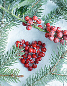 Heart of holly berries in the snow