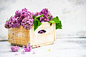 Purple lilac in a wooden box