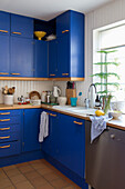 Fitted kitchen with blue cabinet fronts