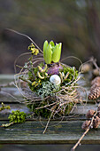 Moss nest with pre-sprouted hyacinth, decorated with twigs and snail shell