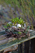 A nest made of birch twigs with pearl hyacinths