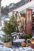 Weihnachtsdekoration und Feuerschale auf winterlicher Terrasse vor Gewächshaus