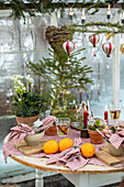 Set table, above Christmas decoration in the greenhouse