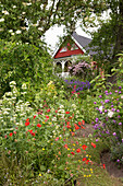 Colorful flower meadow in the garden, with a house in the background