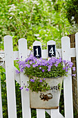 Vintage pot with flowers by the garden fence