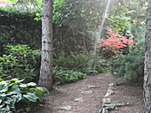 Narrow path leading through lush garden