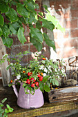 Rosehips and yarrow in an enamel jug in the greenhouse