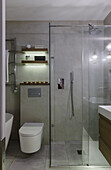 Shower stall, toilet, illuminated shelves above in bathroom