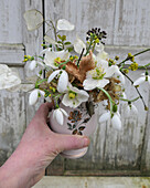 Bouquet of Cornelian cherry (Cornus Mass), annual silverleaf (Lunaria annua), snowdrops (Galanthus)