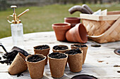 Sowing small seeds in pots