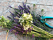 Lavender and leek flowers (Allium) for decoration