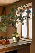 Glasvase mit Eukalyptuszweigen auf Küchentheke