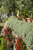 Overgrown natural stone wall in a Mediterranean garden