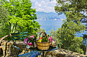 Sitzplatz mit Blumen und Obst auf der Terrasse mit Seeblick