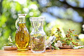 Alpine herb infused massage oil