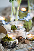 Lanterns with moss on a tree stump